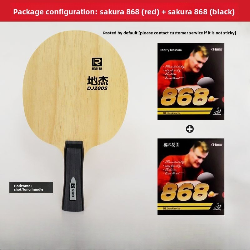 Table Tennis For Kids - Ruikete DJ200A S table tennis floor