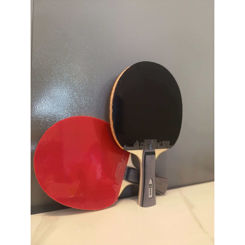 Ruikete DJ200A S table tennis  - Table Tennis For Kids 리뷰 및 가격